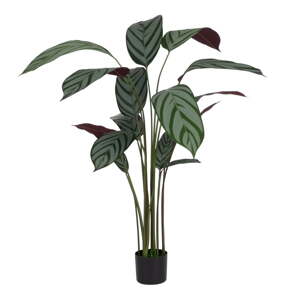 Umelá rastlina (výška 150 cm) Calathea – Ixia