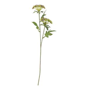 Umelá rastlina (výška  49 cm) Throatwort – Bloomingville