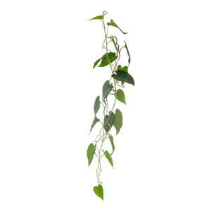 Umelý kvet (výška  117 cm) Anthurium – Bloomingville