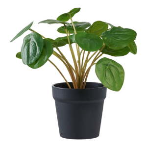 Umelá rastlina (výška  28 cm) Pelia – House Nordic