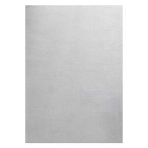 Svetlosivý prateľný koberec 140x200 cm Sky – Ayyildiz Carpets