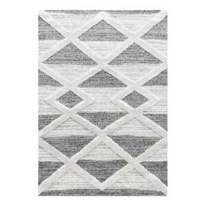 Sivý koberec 120x170 cm Pisa – Ayyildiz Carpets