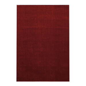 Vínový koberec 160x230 cm Ata – Ayyildiz Carpets