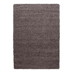 Hnedý koberec 60x110 cm Life – Ayyildiz Carpets