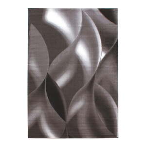 Hnedý koberec 200x290 cm Plus – Ayyildiz Carpets