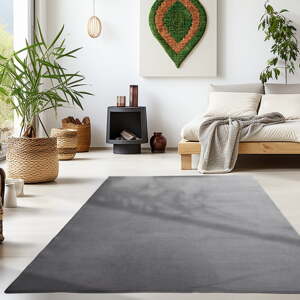 Sivý prateľný koberec 160x230 cm Sky – Ayyildiz Carpets