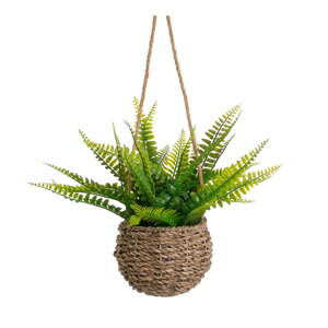 Umelá papraď (výška  25 cm) – Casa Selección