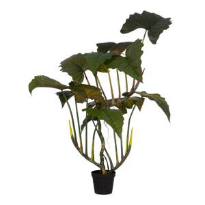 Umelá rastlina (výška  185 cm) Alocasia – Ixia