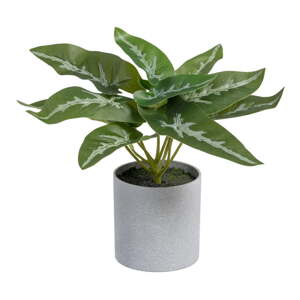 Umelá rastlina (výška  21 cm) Syngonium – Ixia