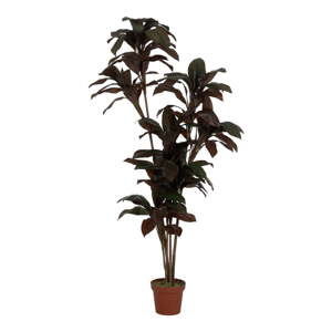 Umelá rastlina (výška  170 cm) – Ixia