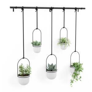 Plastový obal na kvetináč 5 ks  na bylinky/závesný a nástenný  ø 7,5 cm Triflora – Umbra