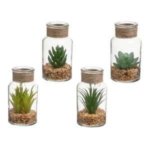 Umelé rastliny v súprave 4 ks (výška  12 cm) Cactus – Casa Selección