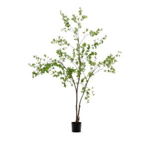 Umelá rastlina (výška  214 cm) Enkianthus – Kave Home