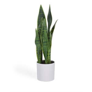 Umelá rastlina (výška  55 cm) Sansevieria – Kave Home