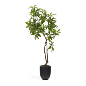 Umelá rastlina (výška  180 cm) Pachira – Kave Home