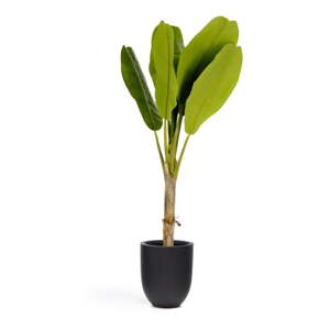 Umelá palma (výška  160 cm) Baa – Kave Home